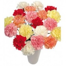 10 Pcs Multi Colored Carnations in a Bouquet